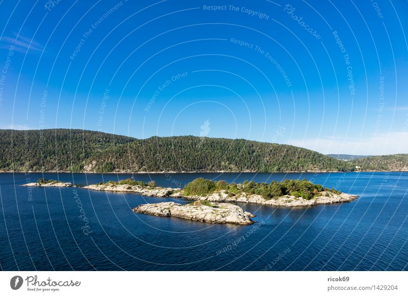 Islands in the Oslofjord Relaxation Vacation & Travel Nature Landscape Water Clouds Tree Forest Rock Coast Fjord Tourist Attraction Stone Blue Green Idyll