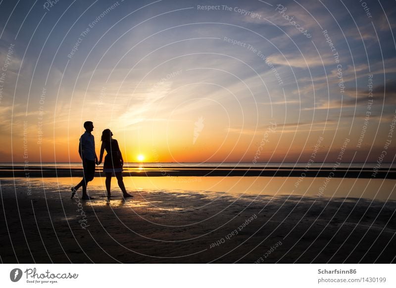 couple in love, silhouettes Lifestyle Exotic Beautiful Relaxation Vacation & Travel Summer Summer vacation Sun Beach Ocean Waves Human being Young woman