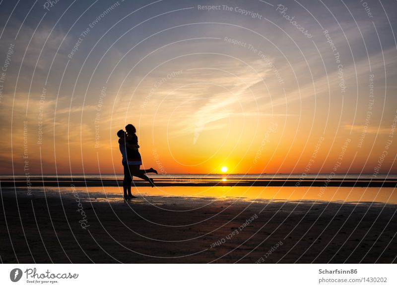 couple in love, silhouettes Lifestyle Exotic Joy Tourism Trip Summer vacation Beach Ocean Human being Woman Adults Man Family & Relations Couple Partner