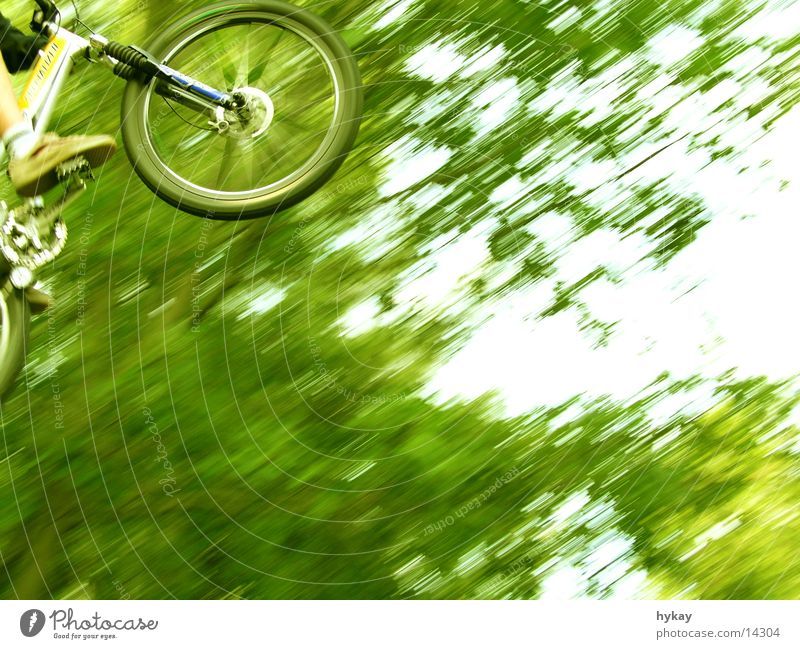 flying high Tree Mountain bike Jump Tall Speed Freestyle Green Ramp Extreme sports Nature Far-off places Bicycle suspension fork Movement