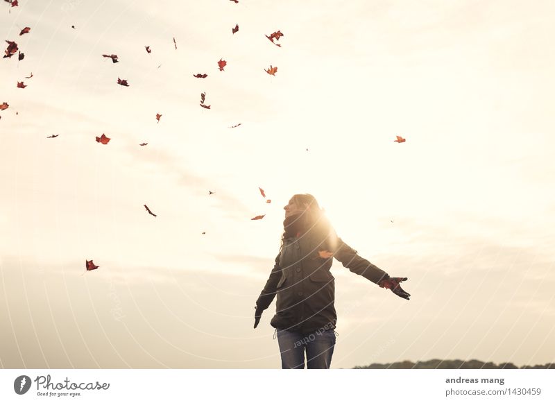 # 312 / Autumn flight Young woman Youth (Young adults) Leaf Jacket Movement Flying Dream Throw Far-off places Free Happy Infinity Joy Happiness Contentment