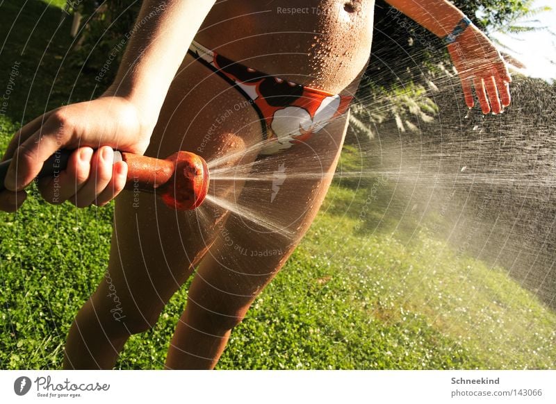 heat-free Summer Garden Hose Garden hose Woman Lady Cooling Cold Physics Hot Shadow Bikini Stomach Legs Hand Drizzle Water Drinking water Break Sunbathing