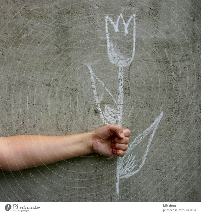 imaginary Flower Tulip Amsterdam Chalk Wall (building) Concrete Earmarked Painting and drawing (object) Draw Arm Grasp To hold on Hand Fingers Birthday