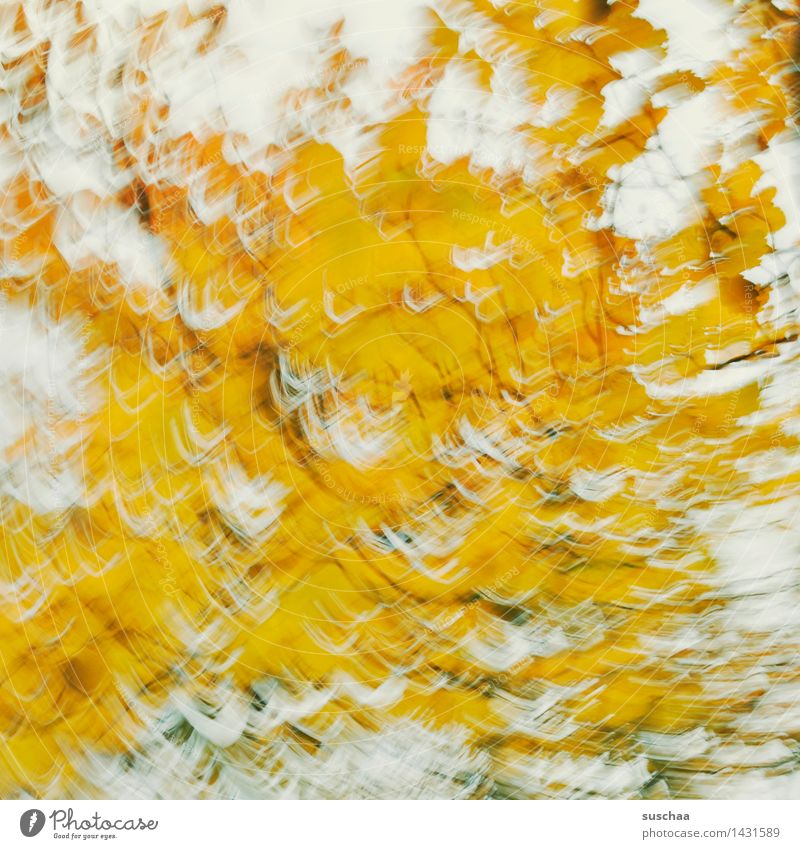 wischhhhhhh ... and away Abstract Yellow Movement Rotate Dynamics Exterior shot Leaf Tree Autumn Art