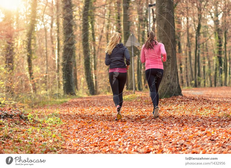 Two fit young woman jogging together Lifestyle Happy Face Sports Jogging To talk Woman Adults Friendship 2 Human being 18 - 30 years Youth (Young adults) Autumn