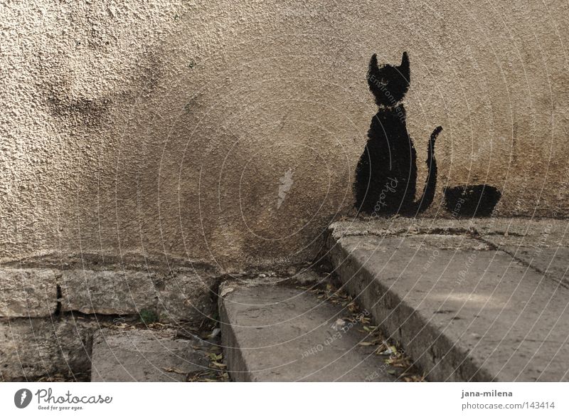 Wall cat. Wall (building) House (Residential Structure) Plaster Plastered Cat Animal Painting (action, work) Painted Black Food bowl Nutrition To feed Feed