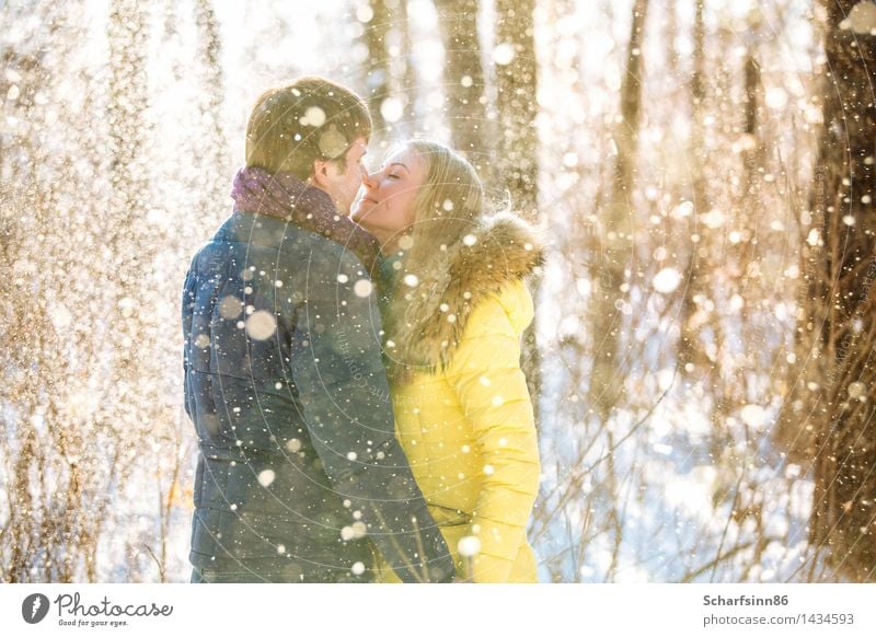 A loving couple in winter park with pine trees Lifestyle Trip Winter Snow Hiking Valentine's Day Masculine Feminine Young woman Youth (Young adults)