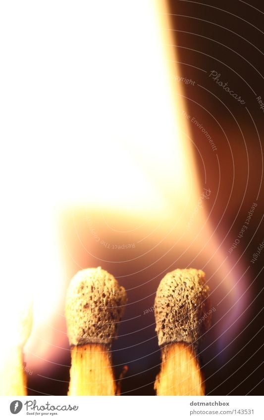 ignition Blaze Fire Ignite Sore Match Light Macro (Extreme close-up) Close-up matchbox