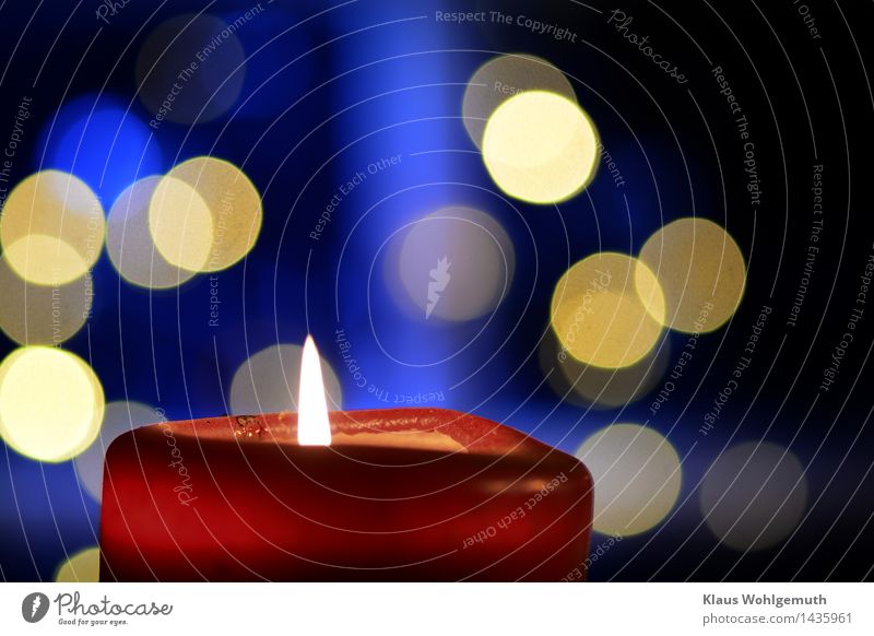 some warmth Christmas & Advent Stars Window Candle Illuminate Blue Yellow Red Romance Pensive before Christmas Colour photo Interior shot Studio shot Close-up