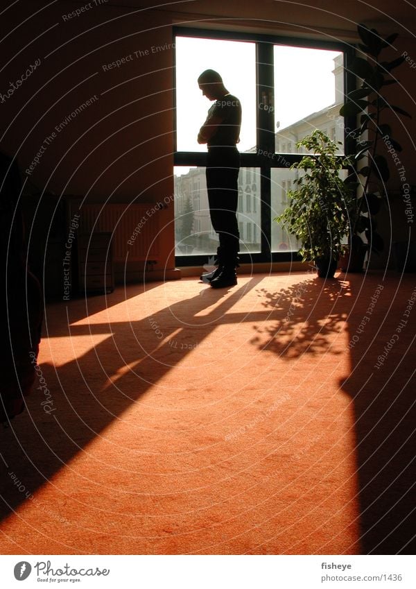 At the window Window Man Back-light Human being Sun Silhouette Shadow