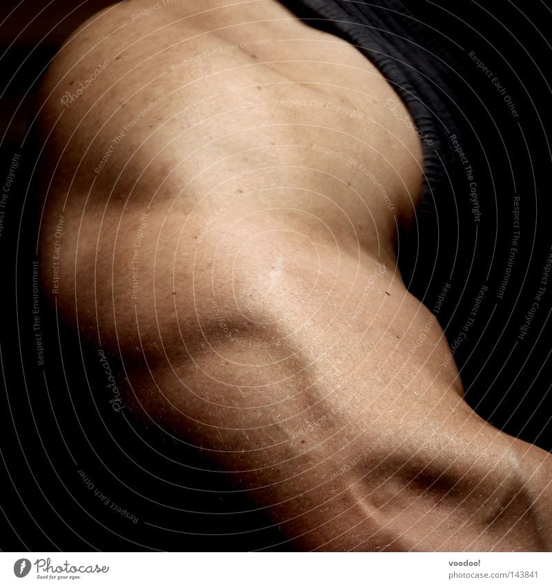 Musculus triceps brachii Musculature Triceps Arm Power Force Sports Training Posture Skin Healthy Anatomy Detail Section of image Partially visible Man's body