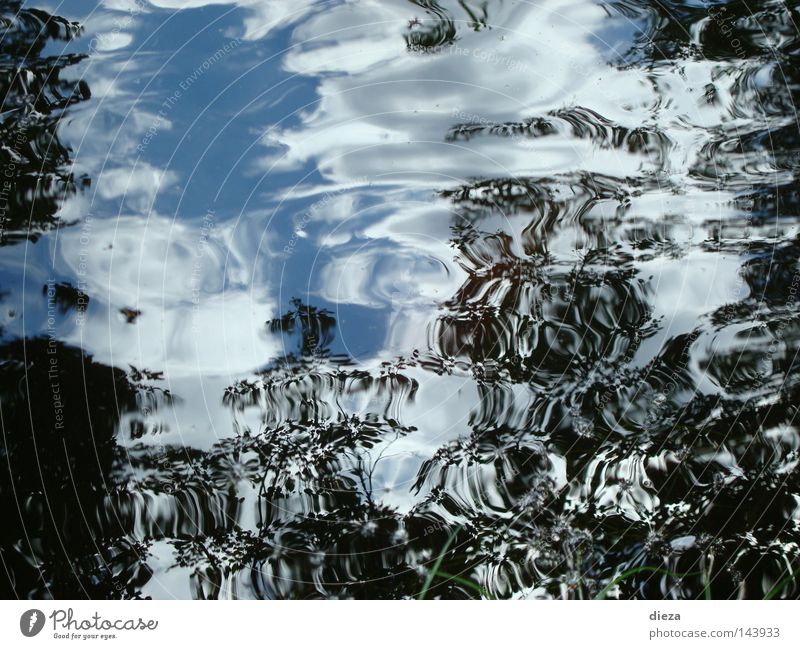 mirror water Water Mirror Sky Reflection Wind Waves The deep Tuscany Pond Movement