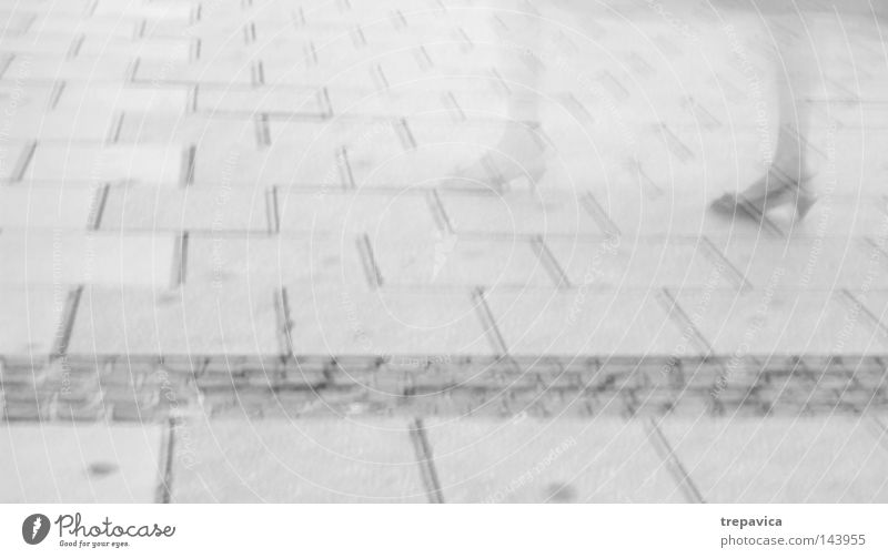 asphalt Town Concrete Gray Asphalt Woman Going Occur Direction Footwear Transparent Ghosts & Spectres  False Time Human being Street Floor covering