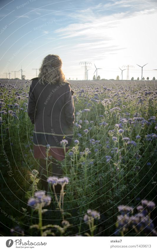 flower field Wind energy plant Woman Adults 1 Human being Flower Field Coat Dream Longing Subdued colour Exterior shot Sunrise Sunset Back-light Rear view