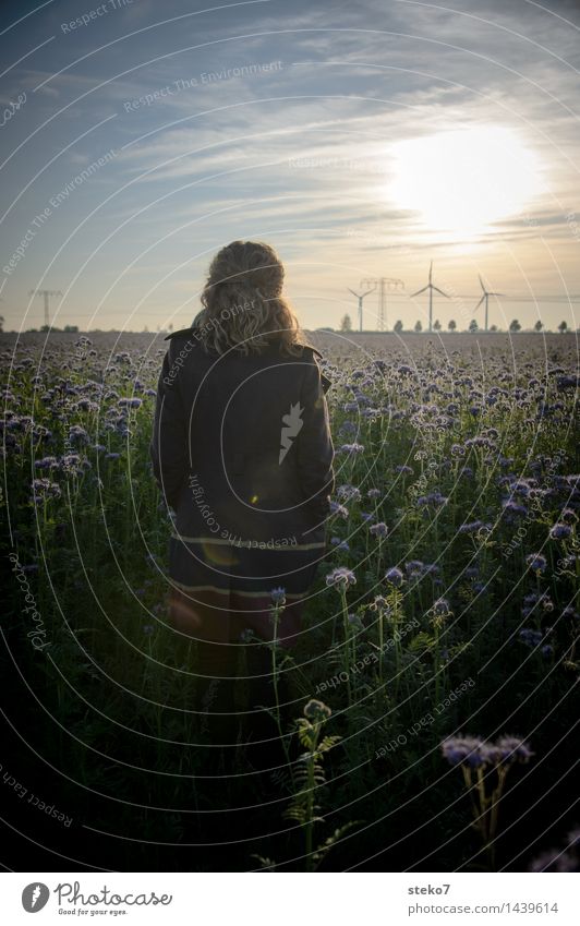 Flower field II Wind energy plant Woman Adults 1 Human being Autumn Field Stand Wait Energy Horizon Transience Exterior shot Sunrise Sunset Back-light Rear view