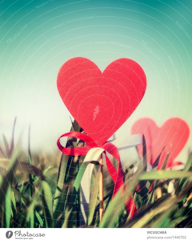 Red Heart Shield in Grass Style Design Life Garden Valentine's Day Nature Sky Sunlight Spring Summer Beautiful weather Park Love Retro Background picture