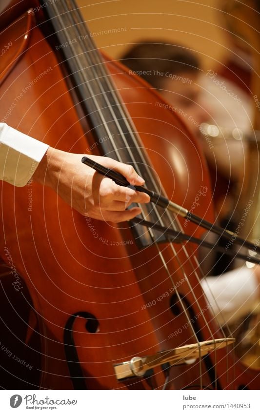 Deep tones Music Listen to music Concert Stage Musician Orchestra Painting (action, work) Electric bass Double bass String instrument Music tuition Colour photo
