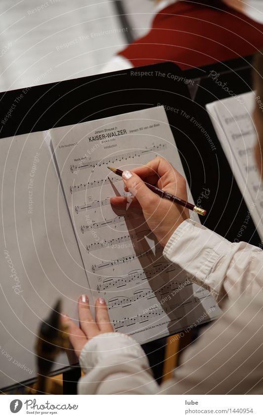 emperor's waltz Artist Culture Music Concert Musician Write notation Musical notes Sheet music Pencil emperor waltz johann ostrich Colour photo