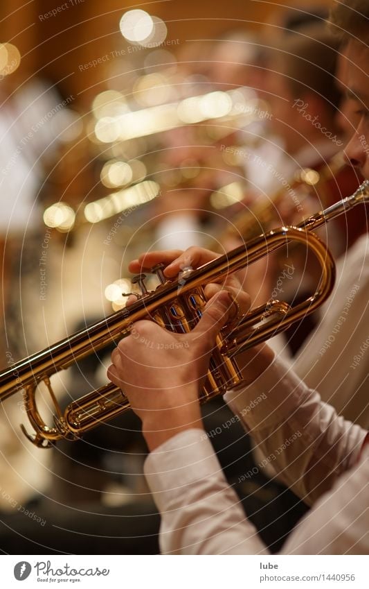 trumpeter Art Artist Music Listen to music Concert Stage Musician Orchestra Musical notes Gold Trumpet Trumpeter Brass band music Jazz Jazz musician brassband