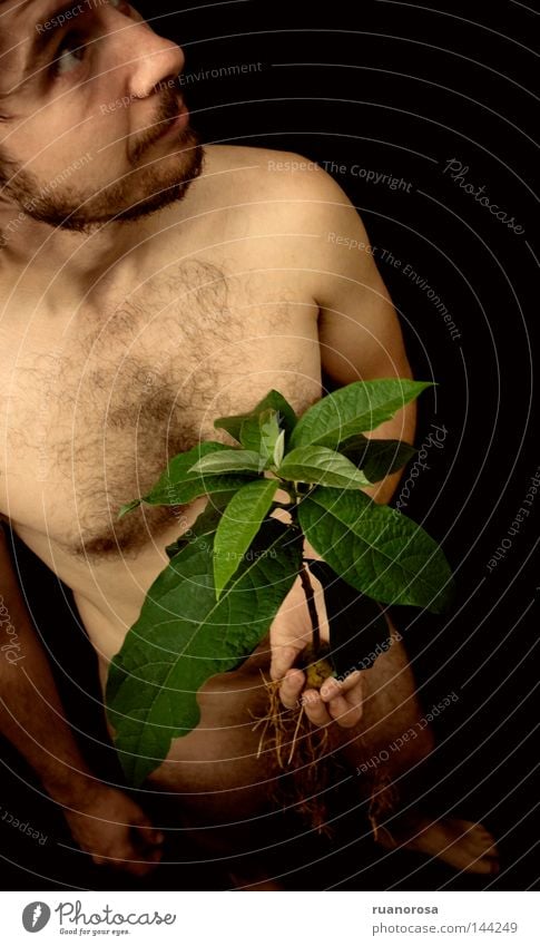 Lo Man Human being Nude photography Body Face Hand Plant Leaf Avocado Root Root of a tree Stalk Shadow Green Accidental Calm Serene Indicate