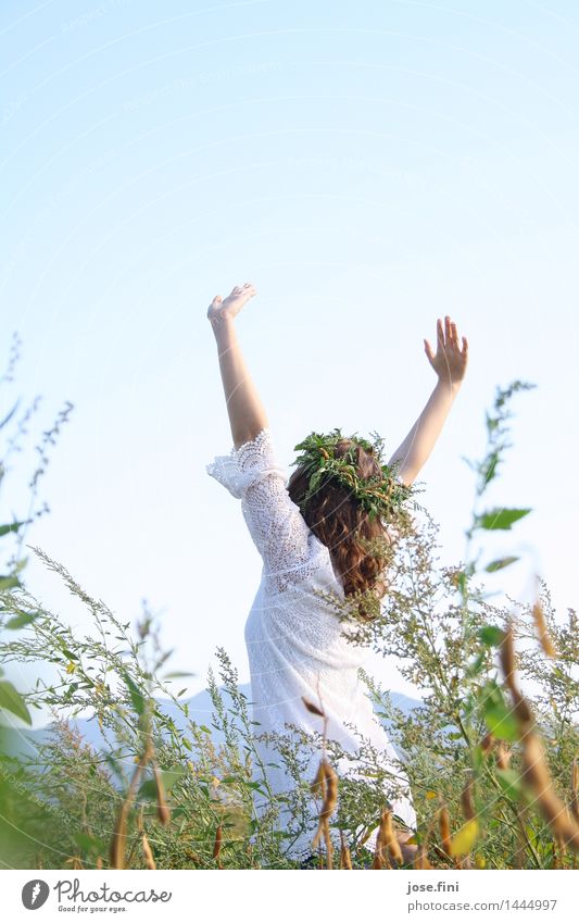 Meadow queen of the latter Lifestyle Joy Happy Feminine Girl Young woman Youth (Young adults) Nature Cloudless sky Summer Grass Bushes Movement Dance Fresh