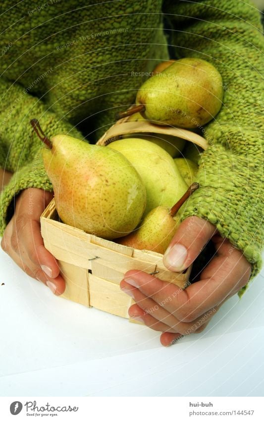 Pear Girl. Basket Hand Human being Green Autumn Fruit Nature Fresh Delicious Sense of taste Healthy Contentment Harmonious Nutrition Food Chimney Plant Tree