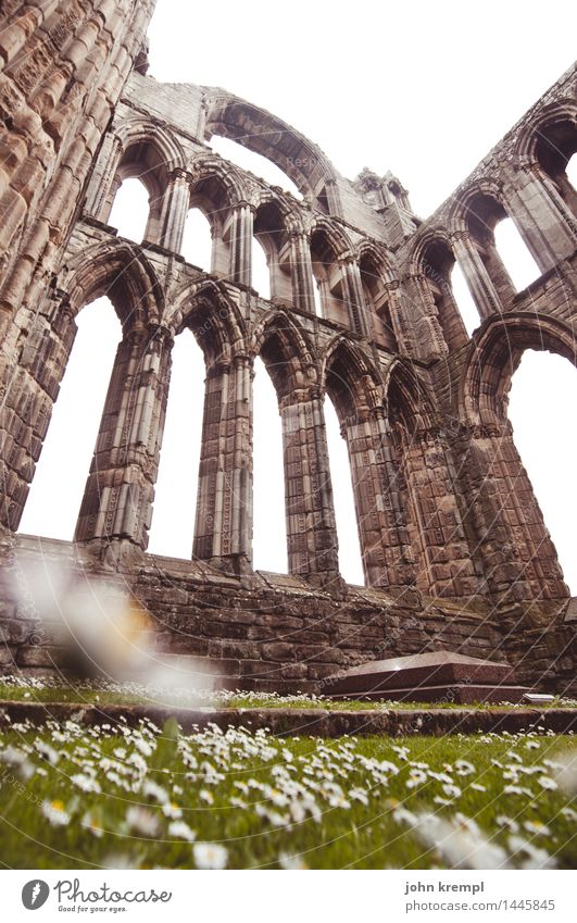 sky-high exulting Daisy Elgin Scotland Church Ruin Manmade structures Cathedral Tourist Attraction Blossoming Sharp-edged Gigantic Historic Tall Goodness Grief