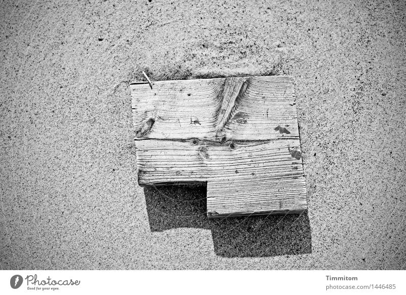 Who can read the signs? Elements Sand Beach Denmark Wood Lie Simple Green Black Black & white photo Structures and shapes Wood grain Shadow Exterior shot Day