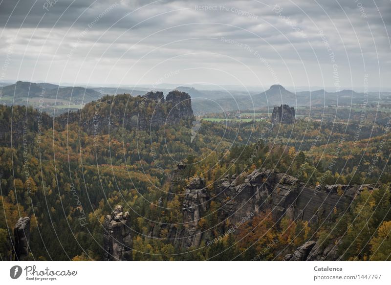 Far view, landscape in Elbe Sandstone Mountains Relaxation Hiking. Climbing Trip Adventure Far-off places Mountaineering Landscape Clouds Autumn Bad weather