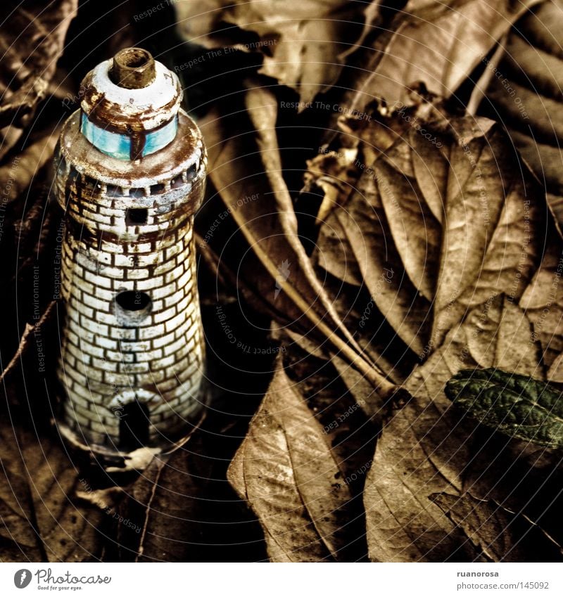 Lighthouse Jewellery Leaf Autumn Tower Lamp Gastronomy Day Ground Handbook Miniature Structures and shapes