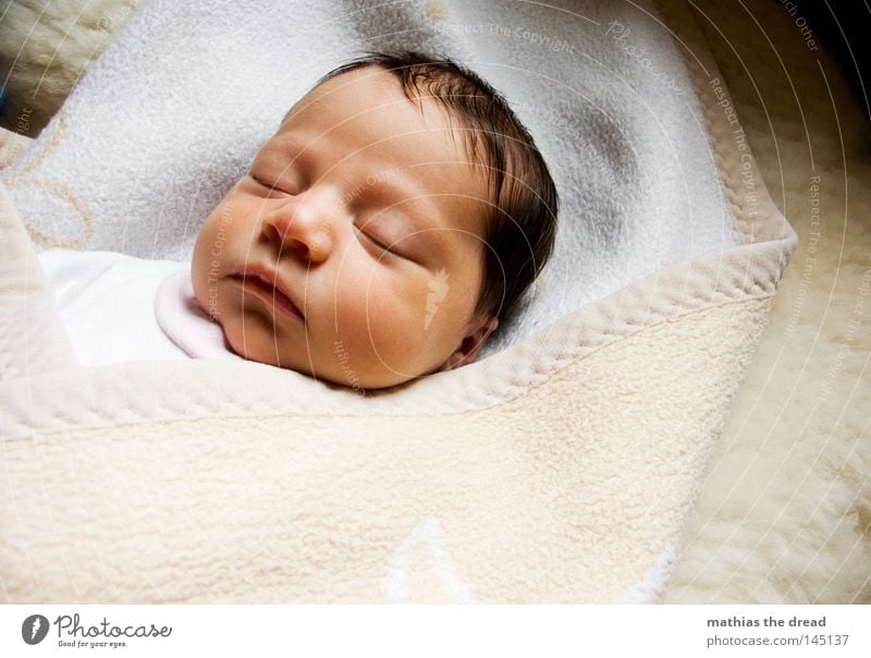 600th 1 Person Individual Baby Offspring Newborn Face of a child Portrait photograph Sleep Dream Cute Peaceful Girl Calm