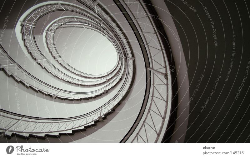 ::SNAIL HOUSE:: Stairs Occur Staircase (Hallway) Spiral Interior design Handrail Banister Detail annular elson Architecture
