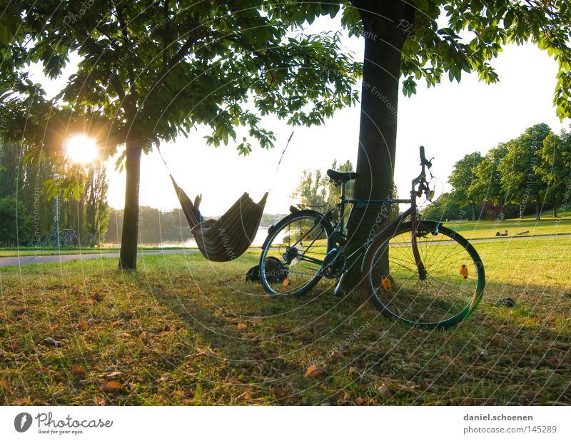 closing time Hammock Sun Sunbeam Bicycle Closing time Evening Free Freedom Leisure and hobbies Vacation & Travel Relaxation Stress Light Meadow Tree Break Joy