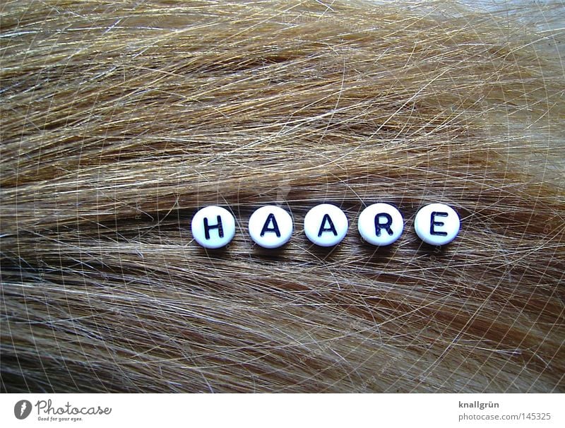 hair Word Letters (alphabet) Round Black White Brown Glimmer Hair and hairstyles Reflection Obscure Characters Pearl Dirty Blonde letter