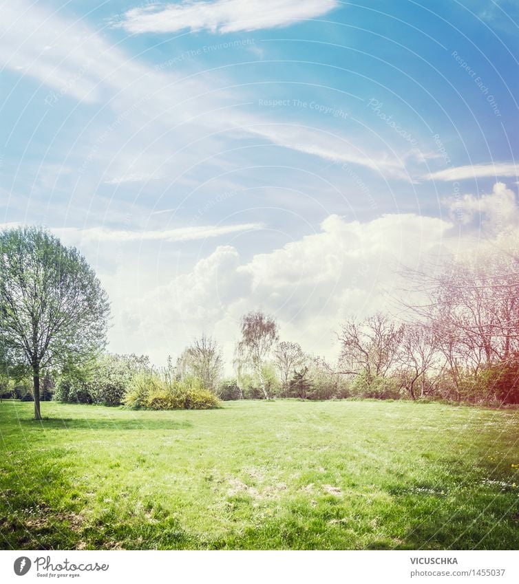 Spring nature background with lawns and blossoming trees Design Summer Garden Nature Plant Sunlight Beautiful weather Park Blossoming Fragrance Style