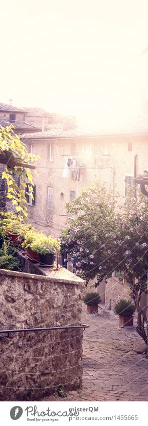 Vertical view. Art Village Fishing village Small Town Old town Deserted House (Residential Structure) Esthetic Mediterranean Italy Italian Tuscany Dreamily