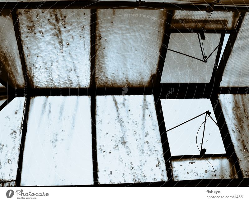 skylit Window Dismantling Factory Industry Old Loneliness