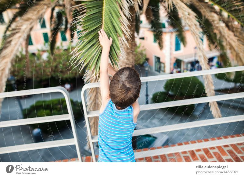 One stroke, please! Vacation & Travel Tourism Trip Summer vacation Masculine Child Infancy 1 Human being 3 - 8 years Tree Leaf Touch Curiosity Blue Green