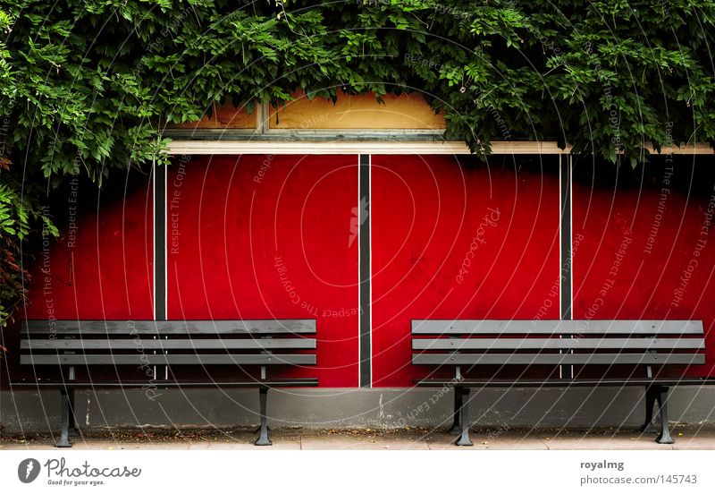 banking crisis Bench Seating Red Pattern Ivy Green Leaf Romance Stripe Frontal 2 Together Empty Loneliness Wooden bench Calm Peace Relaxation