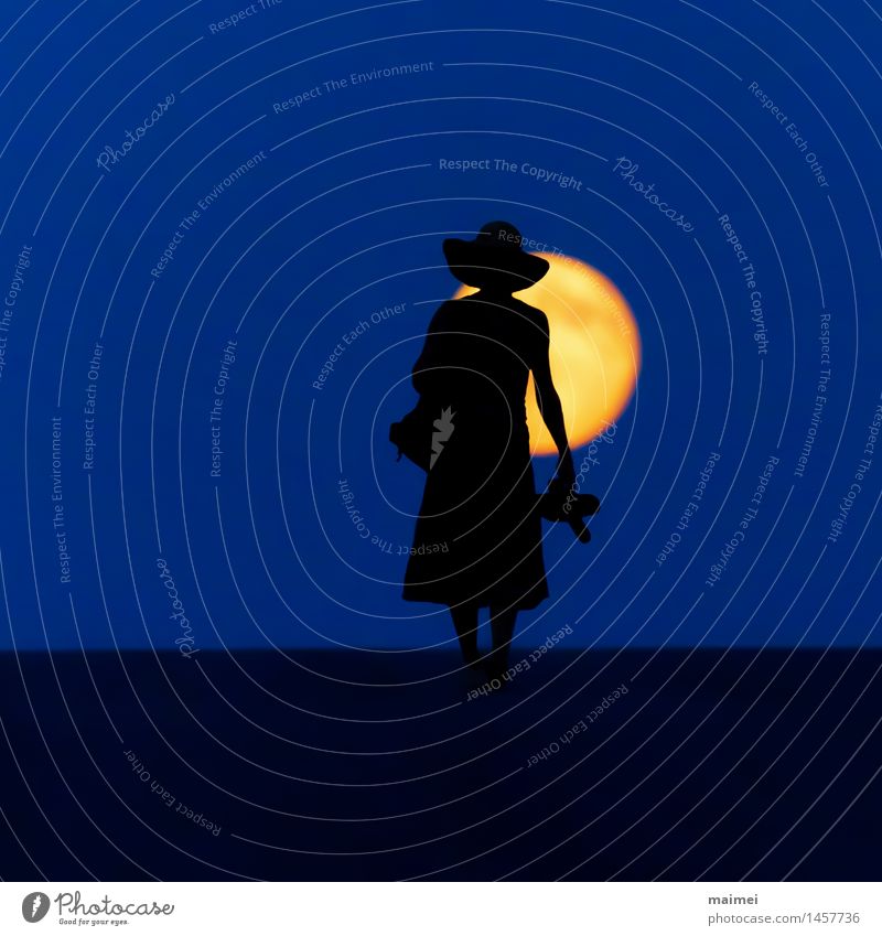 Barefoot through the night Harmonious Well-being Hiking Woman Adults 1 Human being Nature Moon Full  moon Street Dress Hat Going Brave Loneliness Adventure