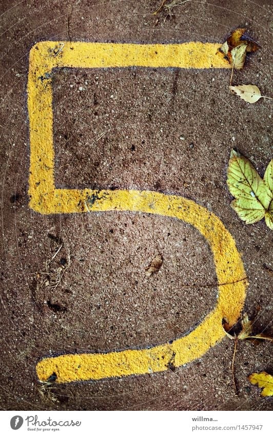 five | dials Autumn Digits and numbers 5 Brown Yellow Date Jubilee Autumnal Leaf Limp May Earth numerology Dirty Colour photo Exterior shot