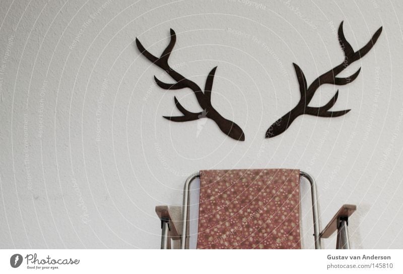 deer damage Deer Antlers Places White Wallpaper Pattern Hunter Hunting Wood Multicoloured Camping Animal Green Tree Decoration stag's antlers Seating Chair