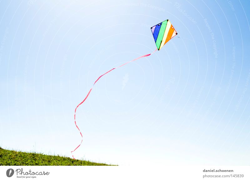 wind Wind Kite Kiting Colour Multicoloured Summer Autumn Sun Flying Sunbeam Weather Light Sky Blue Yellow Green Orange Red Violet Beautiful Leisure and hobbies