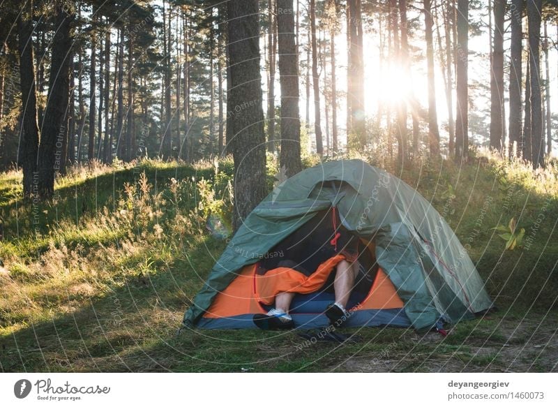 Tent in the forest on sunlight Beautiful Relaxation Leisure and hobbies Vacation & Travel Tourism Trip Adventure Camping Summer Sun Hiking Nature Landscape Tree