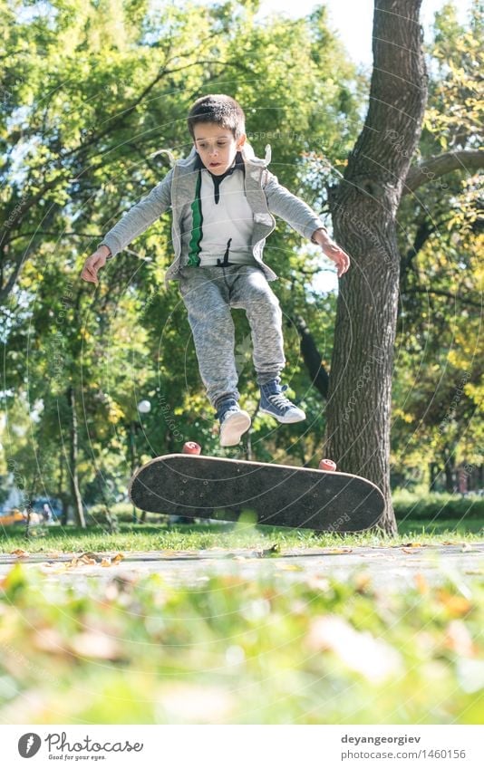 Boy with skateboard in the park Lifestyle Joy Relaxation Leisure and hobbies Summer Sports Child Human being Boy (child) Man Adults Autumn Leaf Park Street