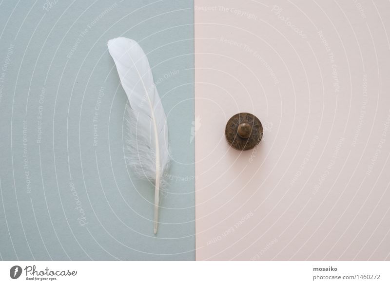 white feather and weight Lifestyle Harmonious Paper Simple Far-off places Together Clean Blue Gray White Inequity Feather Light Weight Weightlessness Contrast