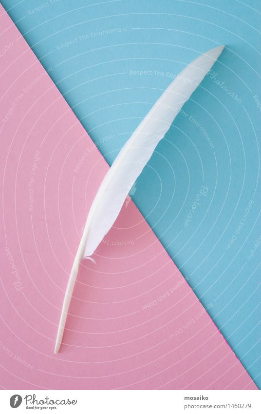 white feather on blue and pink paper background Lifestyle Luxury Elegant Style Design Beautiful Skin Cosmetics Healthy Health care Care of the elderly Wellness