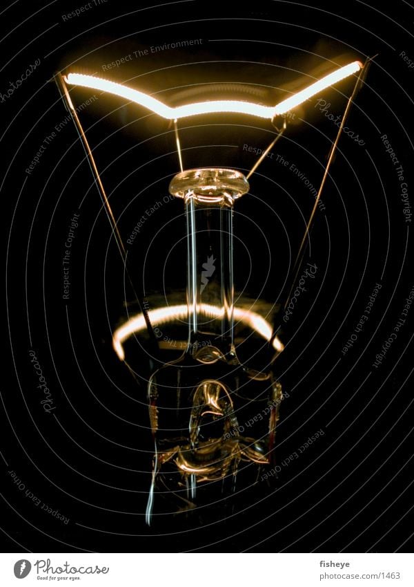 Light source/2 Electric bulb Electricity Dark Electrical equipment Technology Energy industry Glass Metal