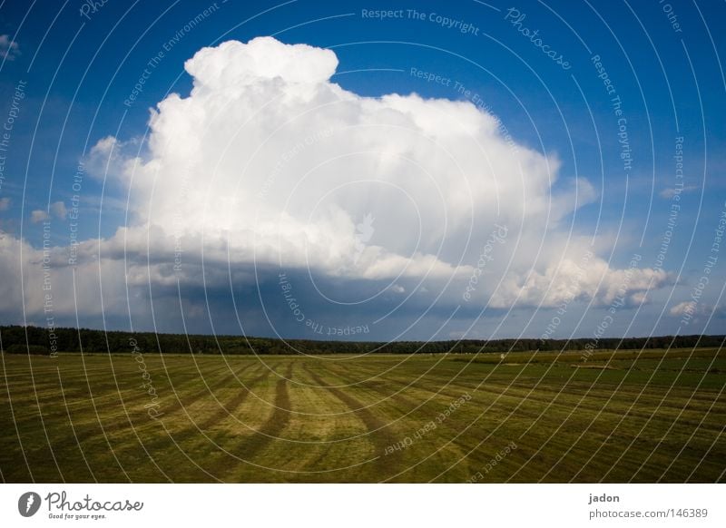 Clouds.field. Exterior shot Copy Space bottom Earth Sky Autumn Weather Storm Meadow Field Threat Blue Green White Might Energy industry Power Cloud cover