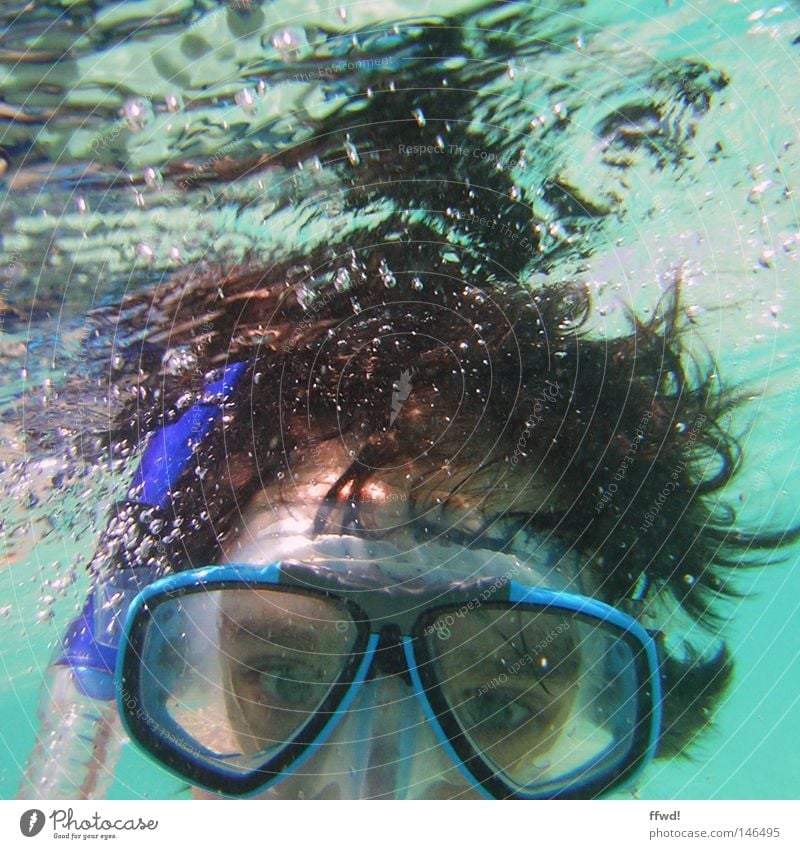 blubber Snorkeling Dive Diver Snorkeler Diving equipment Mask Eyeglasses Swimming & Bathing Ocean Water Lake Underwater photo Vacation & Travel Sports